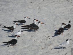 Florida_2007-2008-023